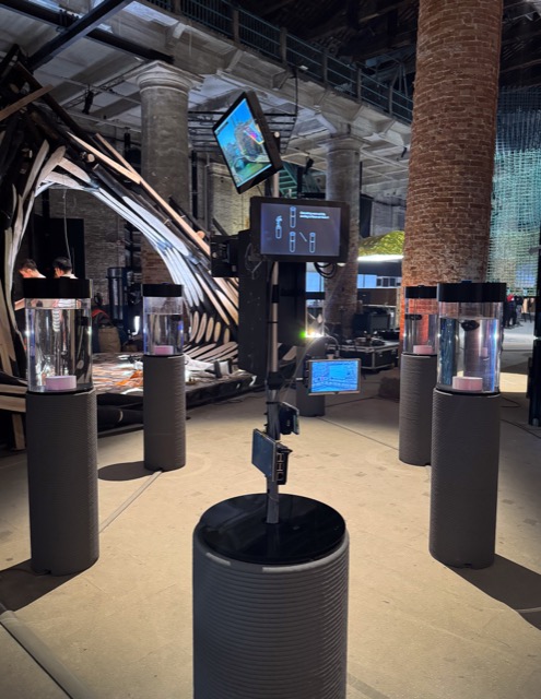 Installation view